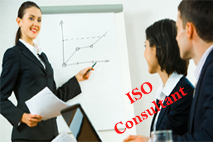 iso consultant